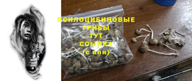 Галлюциногенные грибы Cubensis  как найти   Троицк 